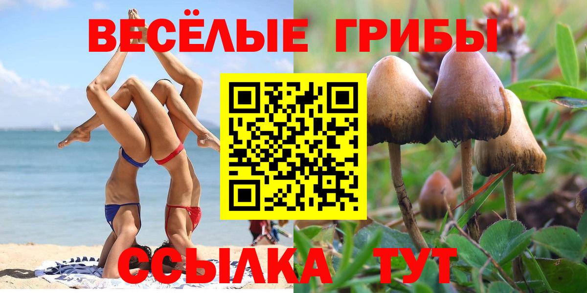 Подольск  Галлюциногенные грибы Psilocybe  Вход с VPN  Галлюциногенные грибы MAGIC MUSHROOMS 